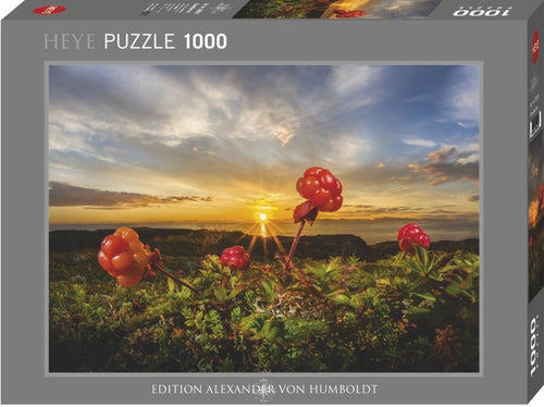 Cloudberries at Sunset - 1000 Piece Jigsaw Puzzle (Heye) - Completed Puzzle