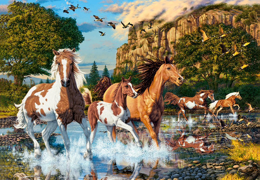 Horse Wonderland – 1000 Piece Jigsaw Puzzle (Castorland)