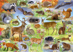 Artwork: British Wildlife – 500 Piece Jigsaw Puzzle (Gibsons)