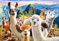 Llamas Selfie – 1000 Piece Jigsaw Puzzle (Castorland)