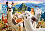 Llamas Selfie – 1000 Piece Jigsaw Puzzle (Castorland)