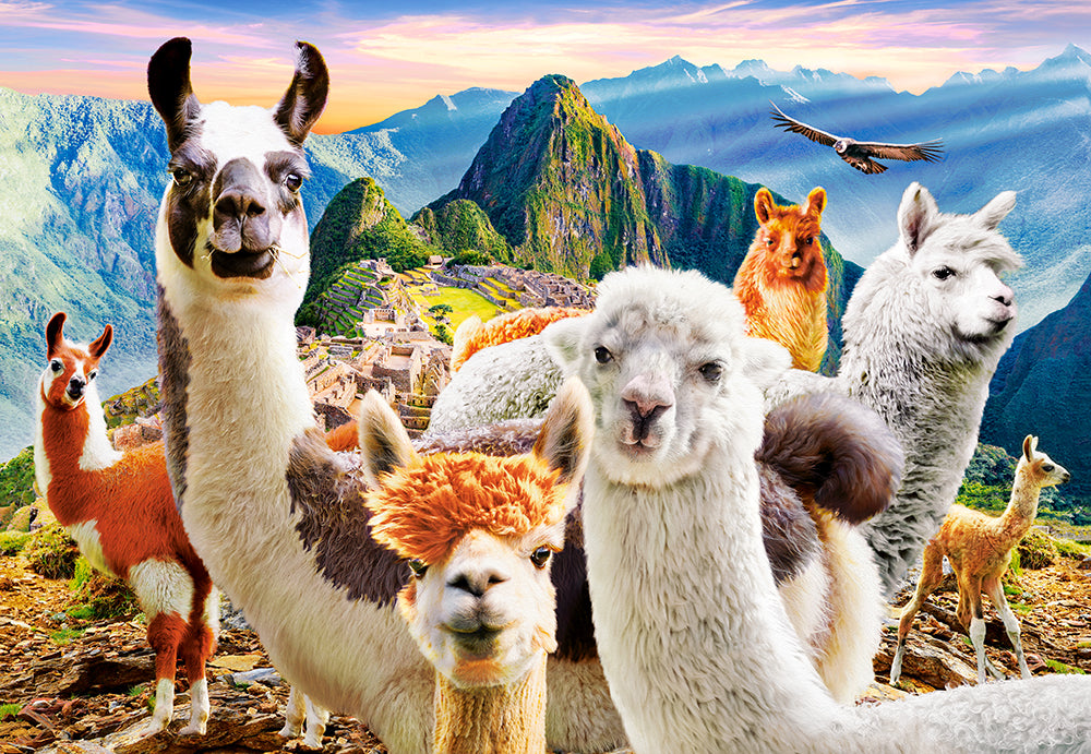 Llamas Selfie – 1000 Piece Jigsaw Puzzle (Castorland)