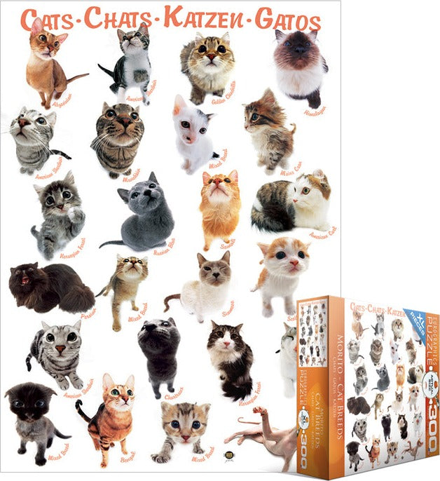 Artwork: Eurographics 8300-1511 Cat Breeds 300 Piece Jigsaw Puzzle