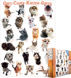 Artwork: Eurographics 8300-1511 Cat Breeds 300 Piece Jigsaw Puzzle