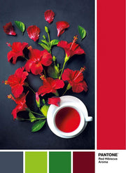 Pantone: Red Hibiscus Aroma - 1000 Piece Jigsaw Puzzle (Clementoni)