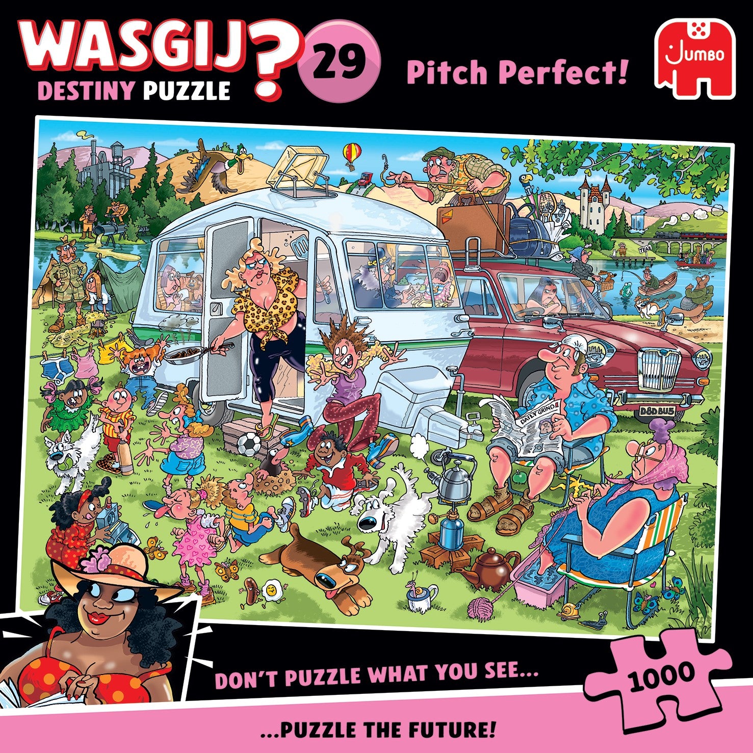 Wasgij Destiny 29: Pitch Perfect! – 1000 Piece Jigsaw Puzzle (Wasgij)