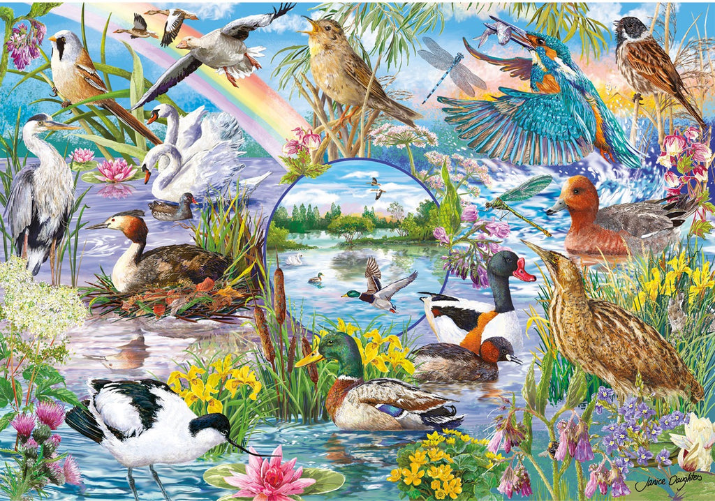 Artwork, puzzle 2 of 4: RSPB: Wings in the Wild - 4 x 500 Piece Jigsaw Puzzles (Gibsons)