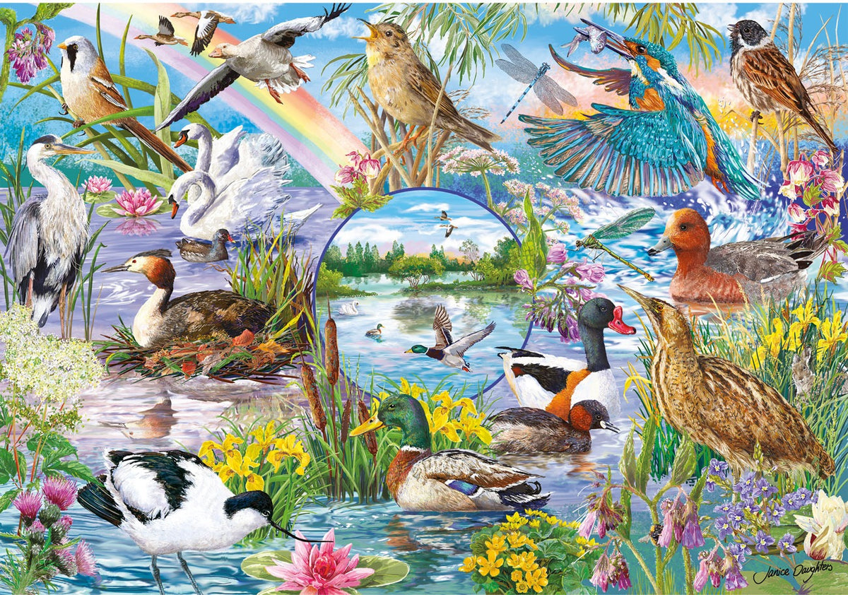 Artwork, puzzle 2 of 4: RSPB: Wings in the Wild - 4 x 500 Piece Jigsaw Puzzles (Gibsons)