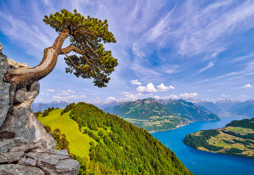 View of the Lake of Uri, Switzerland - 1000 Piece Jigsaw Puzzle (Castorland)