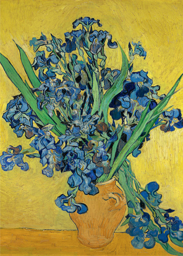 Irises by Vincent Van Gogh – 1000 Piece Jigsaw Puzzle (DToys)