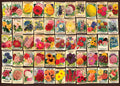 Vintage Collage: Flowers – 1000 Piece Jigsaw Puzzle (Dtoys)