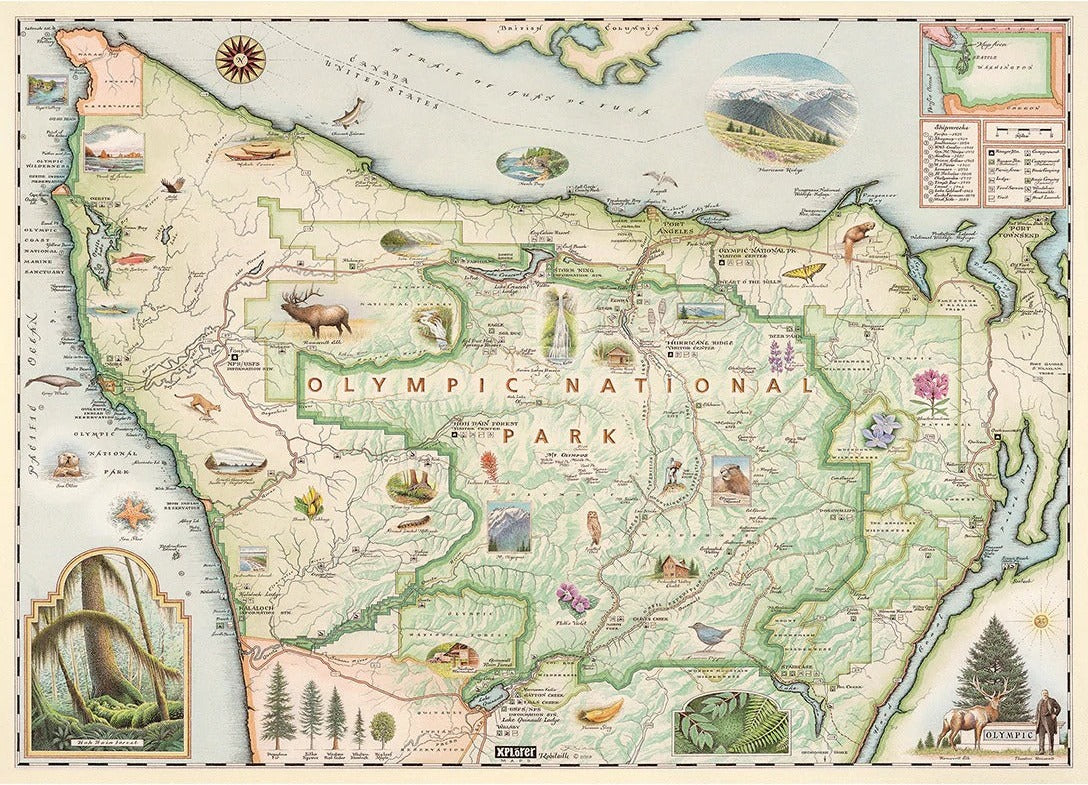 Artwork: Master Pieces 71766 Olympic Map