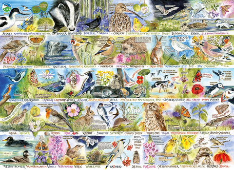 Artwork: Birdsong & Bluebells – 1000 Piece Jigsaw Puzzle (Gibsons)