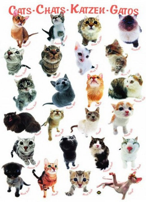 Artwork: Eurographics 8300-1511 Cat Breeds 300 Piece Jigsaw Puzzle