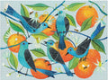 Artwork: Naranjas by Geninne Zlatkis – 1000 Piece Jigsaw Puzzle (Galison)