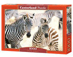 Young Zebras – 1000 Piece Jigsaw Puzzle (Castorland)