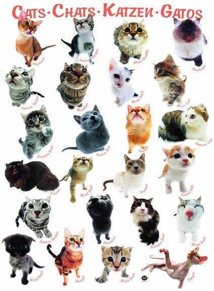 Artwork: Eurographics 6000-1511 Classic Cats Jigsaw Puzzle