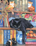 On the Shelf by Chrissy Snelling – 1000 Piece Jigsaw Puzzle (Sunsout)