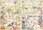 The Country Diary 4 Seasons – 1000 Piece Jigsaw Puzzle (Falcon De Luxe)