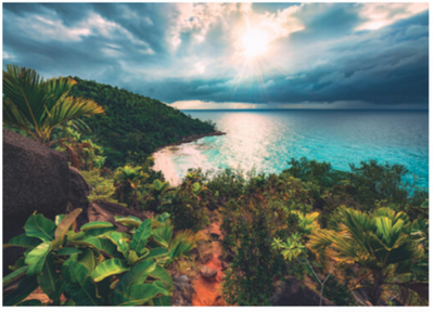 Hawaiian Heaven – 1000 Piece Jigsaw Puzzle (Ravensburger)