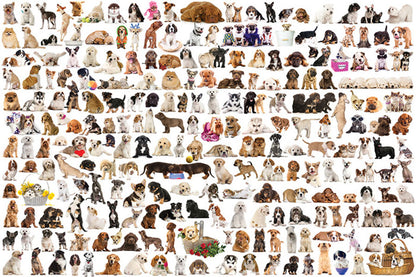 Eurographics - The World of Dogs - 1000 Piece Jigsaw Puzzle