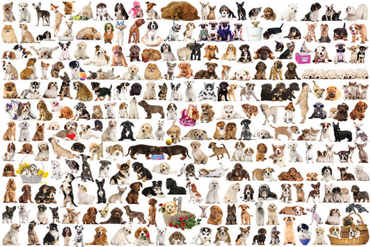 Eurographics - The World of Dogs - 1000 Piece Jigsaw Puzzle