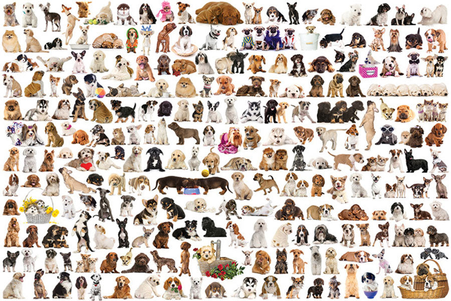 The World of Dogs – 1000 Piece Jigsaw Puzzle (Eurographics)