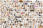 The World of Dogs – 1000 Piece Jigsaw Puzzle (Eurographics)