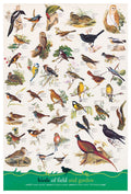 Birds – 1000 Piece Jigsaw Puzzle (Eurographics)
