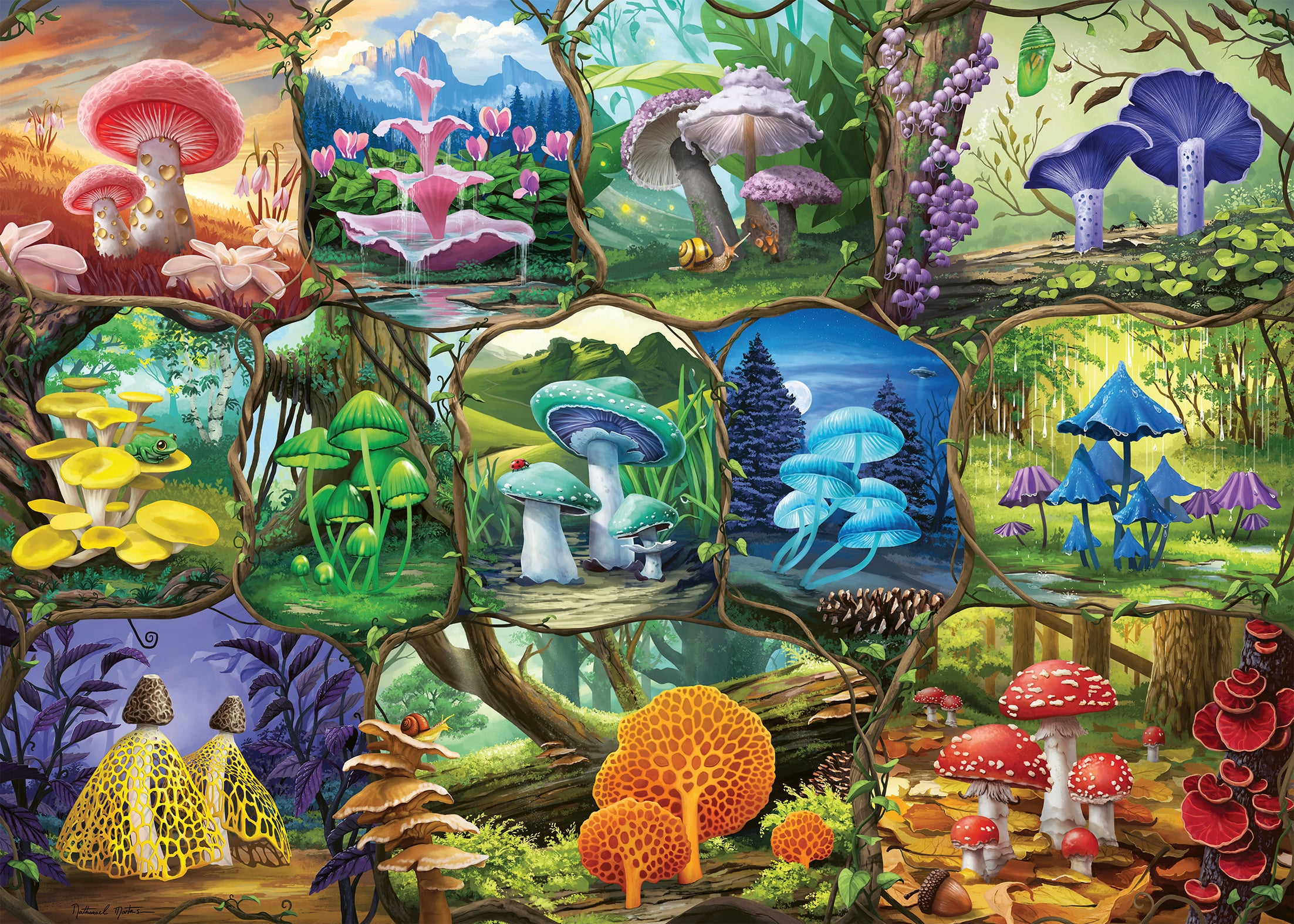 Beautiful Mushrooms – 1000 Piece Jigsaw Puzzle (Ravensburger)