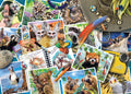 Traveller's Animal Journal – 1000 Piece Jigsaw Puzzle (Ravensburger)