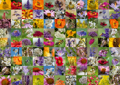 Bee Collage – 1000 Piece Jigsaw Puzzle (Ravensburger)