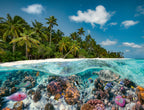 A Dive in the Maldives – 2000 Piece Jigsaw Puzzle (Ravensburger)