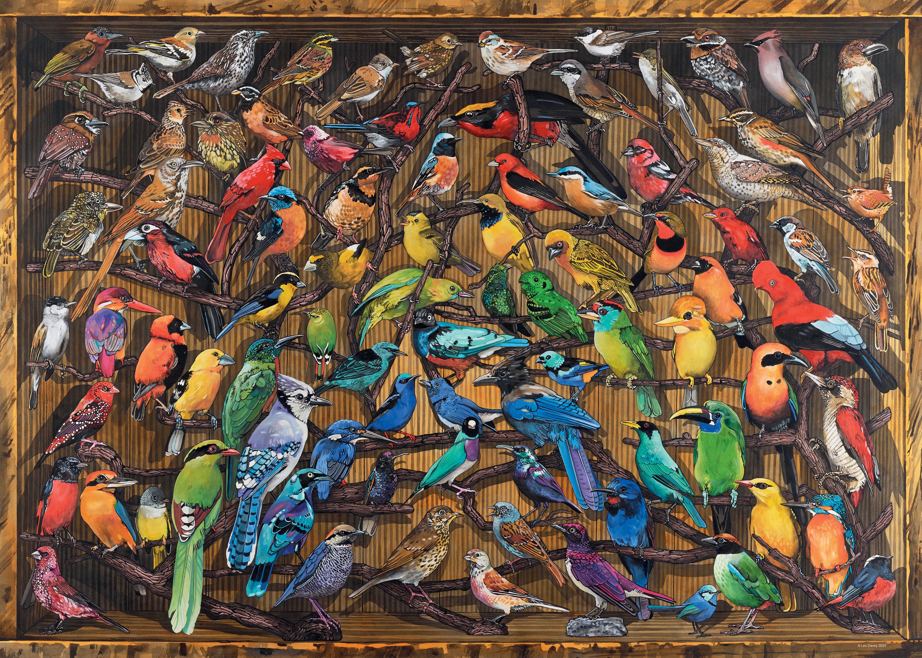 Rainbow of Birds – 1000 Piece Jigsaw Puzzle (Ravensburger)