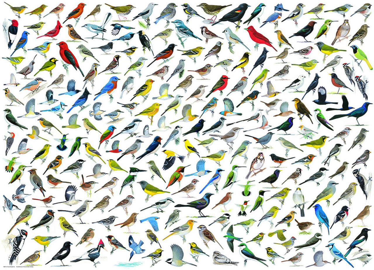 Eurographics - The World of Birds - 1000 Piece Jigsaw Puzzle
