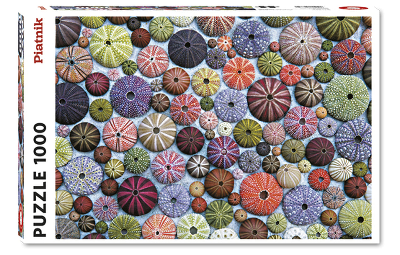 Sea Urchins – 1000 Piece Jigsaw Puzzle (Piatnik)
