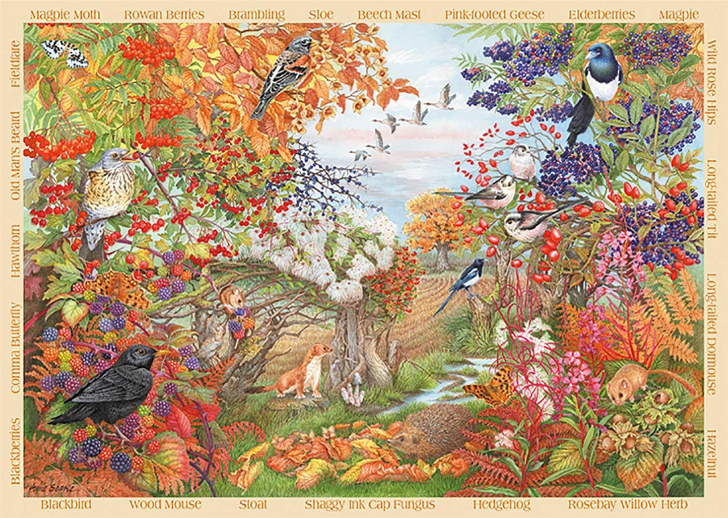Falcon De Luxe - Autumn Hedgerow - 500 Piece Jigsaw Puzzle