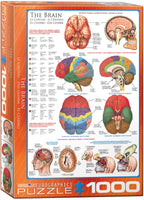 The Brain – 1000 Piece Jigsaw Puzzle (Eurographics)
