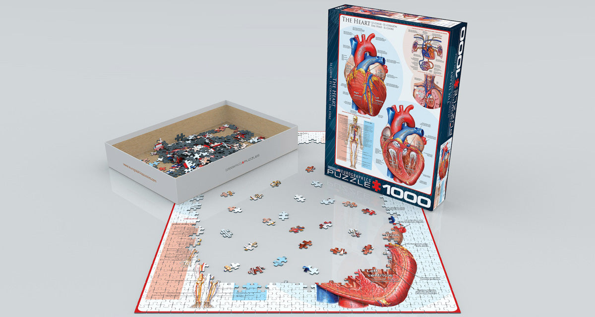 The Heart – 1000 Piece Jigsaw Puzzle (Eurographics)