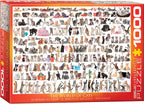 The World of Cats – 1000 Piece Jigsaw Puzzle (Eurographics)