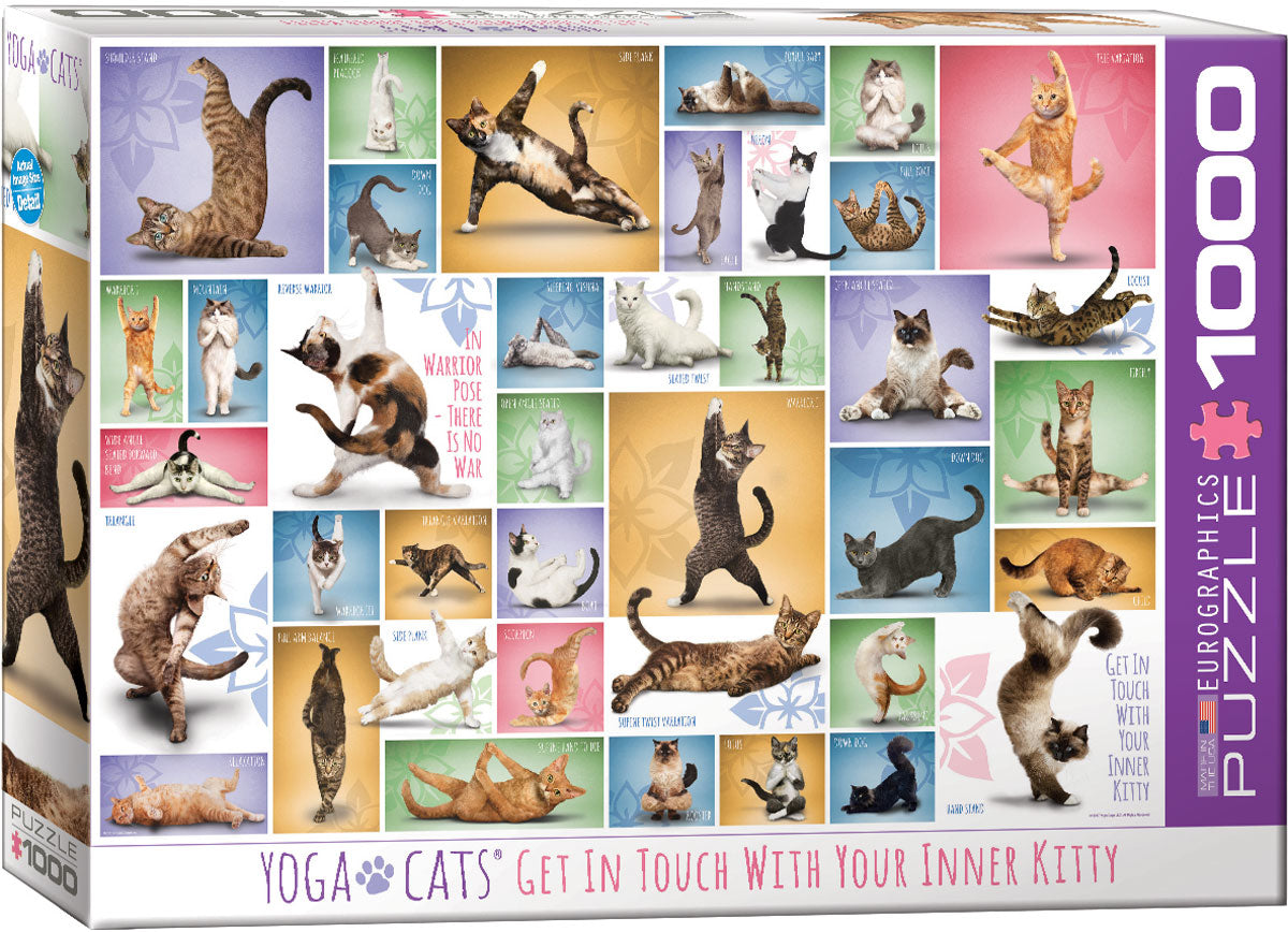 Eurographics- Yoga Cats - 1000 piece jigsaw puzzle