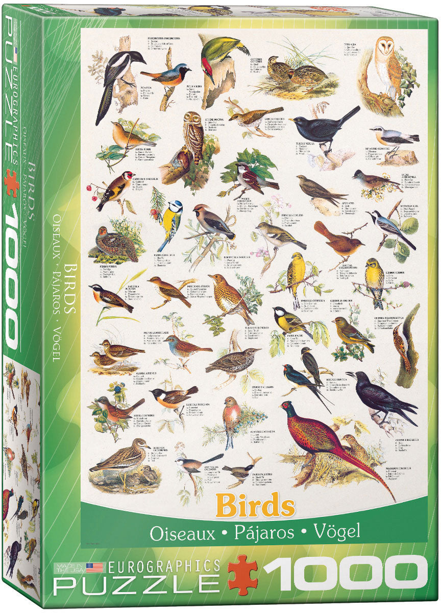 Birds – 1000 Piece Jigsaw Puzzle (Eurographics)