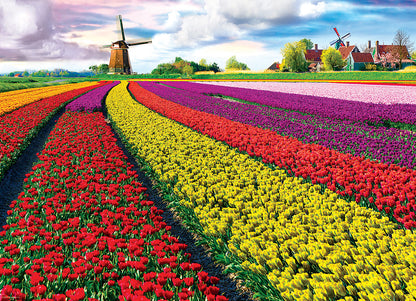 Eurographics- Tulip Fields Netherlands - 1000 Piece Jigsaw Puzzle