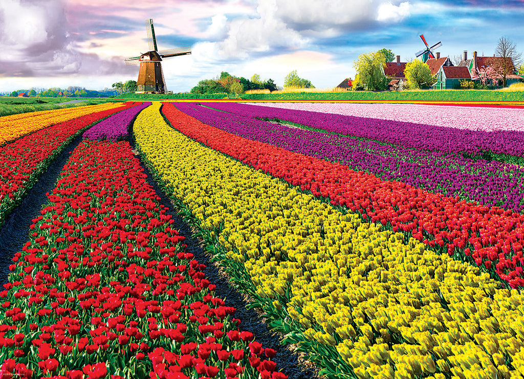 Tulip Fields Netherlands – 1000 Piece Jigsaw Puzzle (Eurographics)