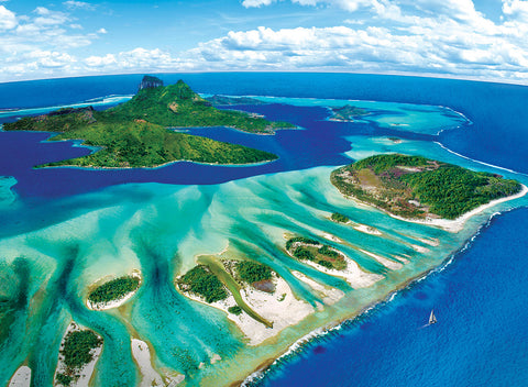 Artwork: Coral Reef – 1000 Piece Jigsaw Puzzle (Eurographics)