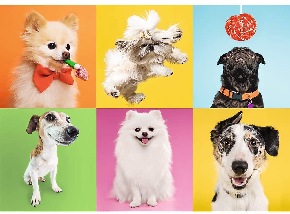 Dogs – 500 Piece Jigsaw Puzzle (Trefl)