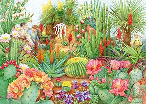 The Flower Show: Desert Plants – 1000 Piece Jigsaw Puzzle (Falcon De Luxe)