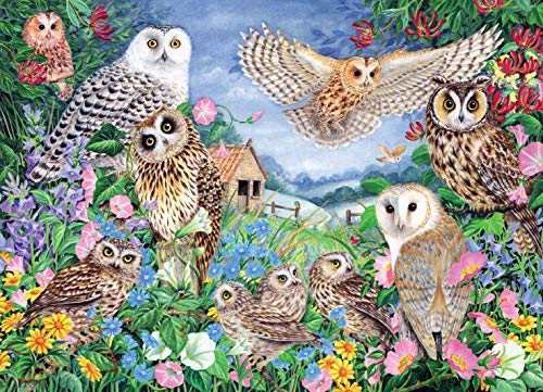Falcon De Luxe - Owls In The Wood - 1000 Piece Jigsaw Puzzle