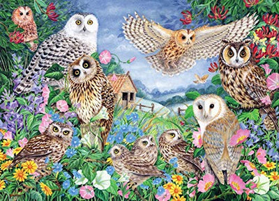 Owls In The Wood – 1000 Piece Jigsaw Puzzle (Falcon De Luxe)