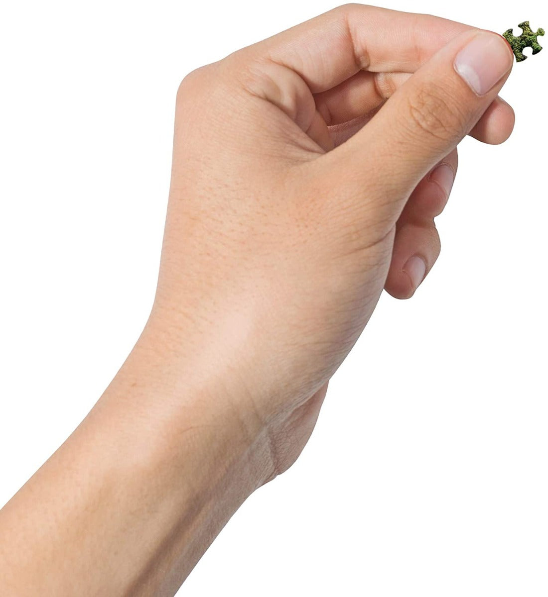 The Colosseum – 1000 Piece Jigsaw Puzzle (Cheatwell Games)